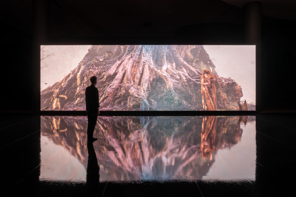 fot. David Stjernholm